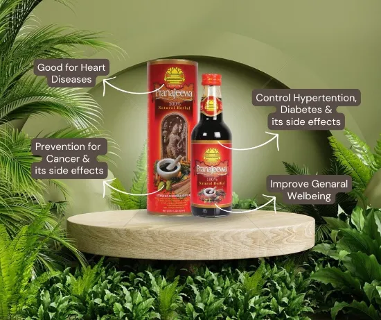 Picture of Pranajeewa Energy Boost – Natural Energy & Vitality Supplement